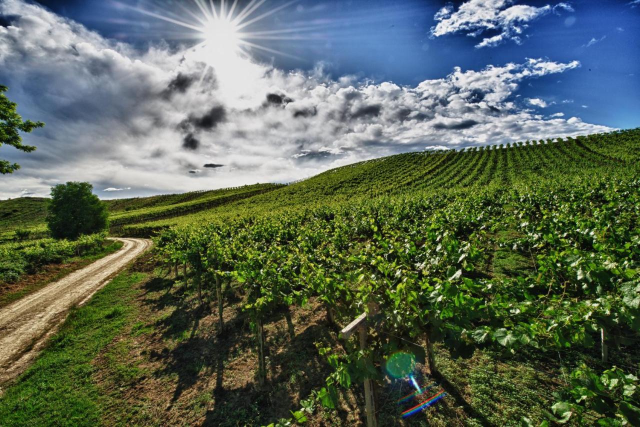 Borgo Baccile By Vini Fantini Hotel